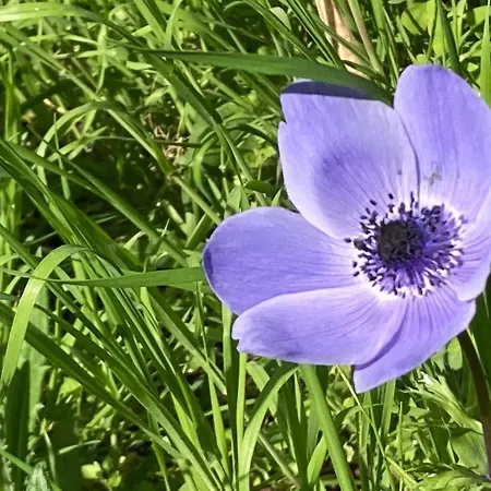 Casa Dormiveglia Отель типа 