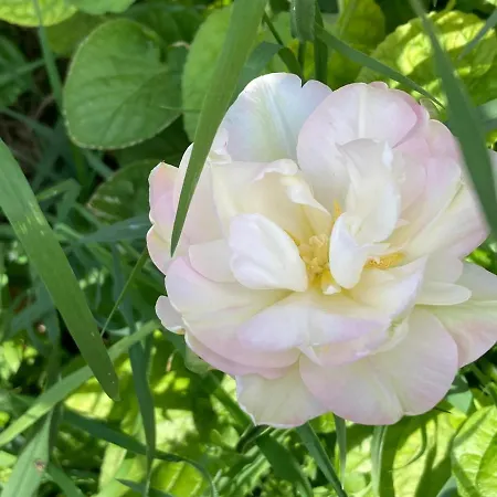 Casa Dormiveglia Отель типа 