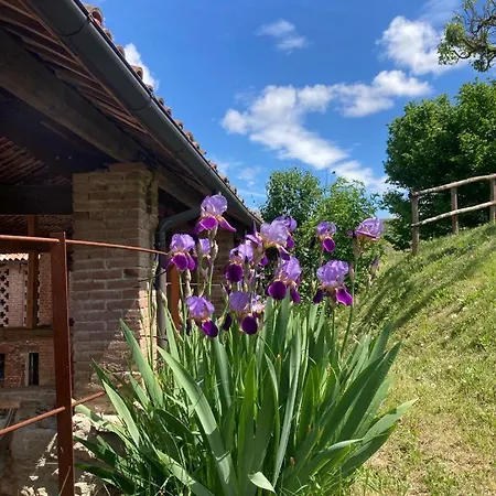 Casa Dormiveglia Отель типа 