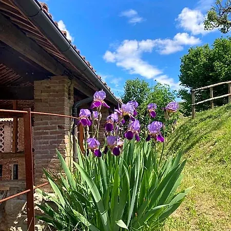 Casa Dormiveglia Отель типа 